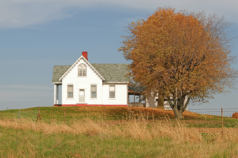 Home on a large property