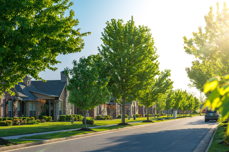 Neighborhood street