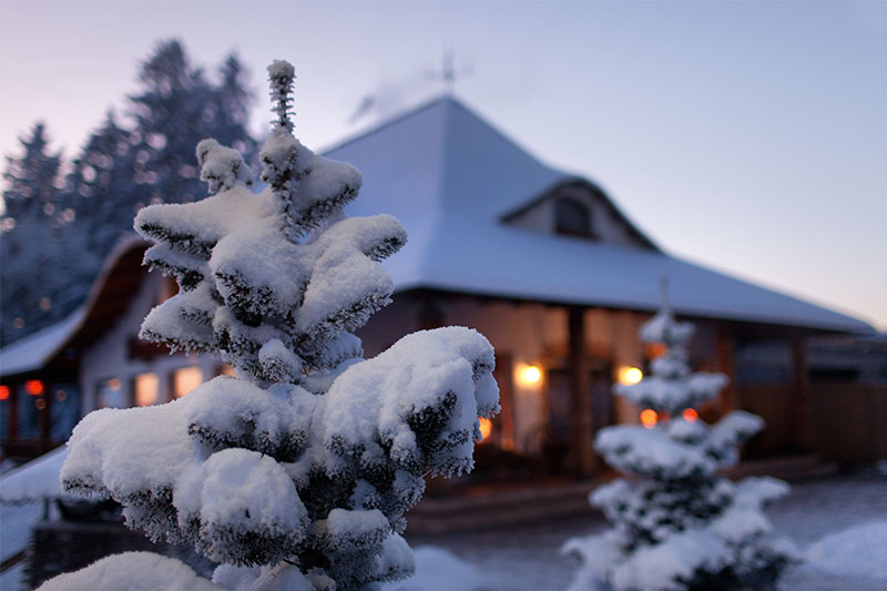 Snow covered home